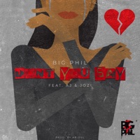 Don't You Say (feat. AJ & Jozi) - Single - BigPhil