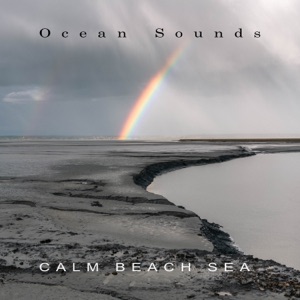 Calm Beach Sea