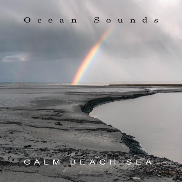 Calm Beach Sea