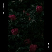 Positions - Single - Zikomo