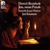 Karine Serafin Jesu, meine Freude, BuxWV 60: III. Unter deinem Schirmen (Aria, soprano 2) Buxtehude: Jesu, meine Freude
