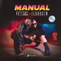 Manual