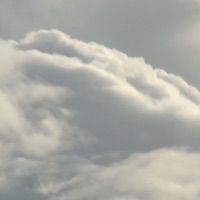 Lobo (Balloon) - Single - Arbajo Jairus