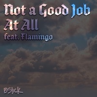 Not a Good Job at All (feat. Flamingo) - Single - Bslick