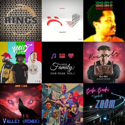 MIP Family: Our Year, Vol. 1