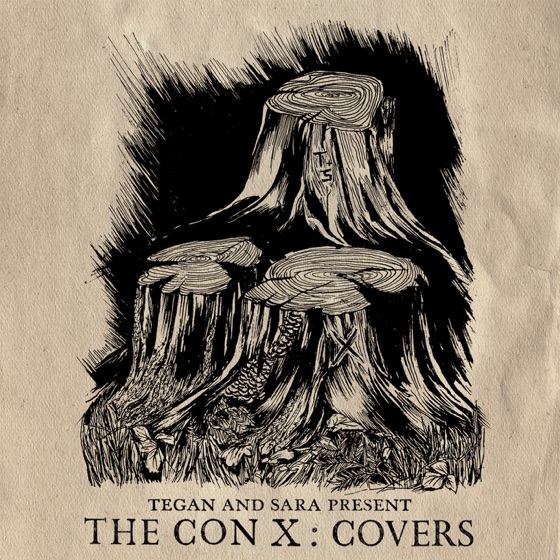 Cover artwork for The Con