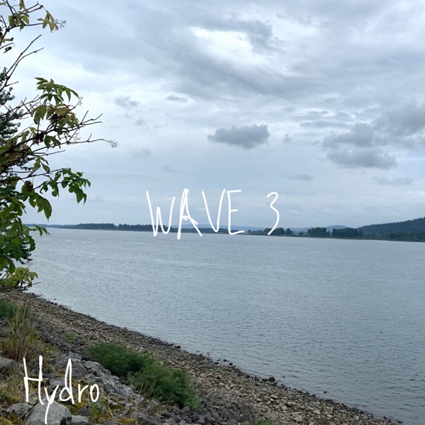 Wave 3