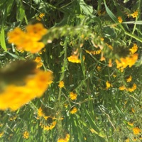 Good Day - Single - Andrew Flores