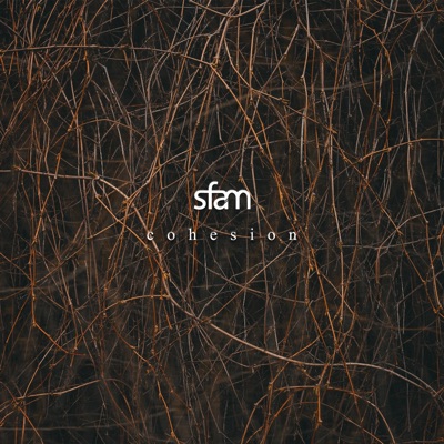 Cohesion - Single