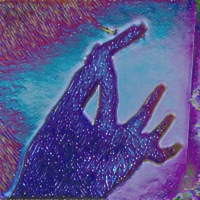 Night Sky - Single - Billy Pilgrim