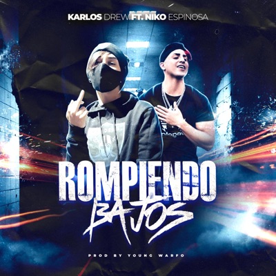 Rompiendo Bajos (feat. NIKO ESPINOSA & Young Warfo) - Single