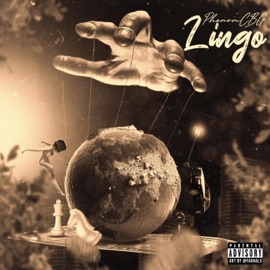 Lingo Phenomcbg