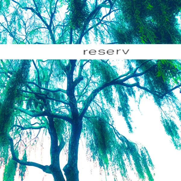 Under the Willow