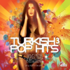 Turkish Pop Hits, Vol. 3 - Various Artists