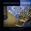 Conjunto de Guitarras de Jorge Fontes - Lisboa das Guitarras