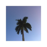 I'm Talkin' - Single - Praxi