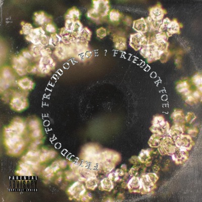 Friend Or Foe ? - Single