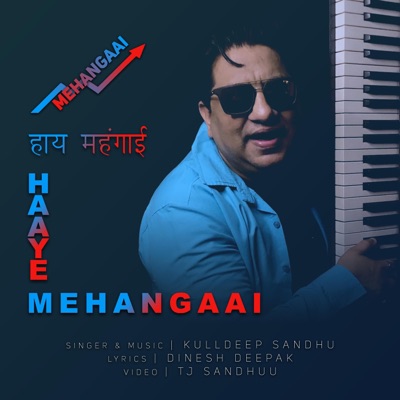 Haaye Mehangaay - Single