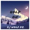 Hold on - Dj wolf dz lyrics