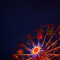 Happy Bird - Single - Shane The Crane