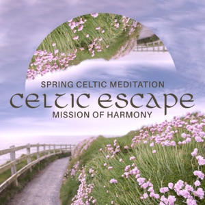 Spring Celtic Meditation: Celtic Escape – Mission of Harmony, Mysterious Celtic World, Celtic Irish Relax Mood, Celtic Instrumental BGM for Spa and Sleep