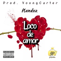 Loco de Amor - Single - Nández