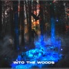 Into the Woods - EP