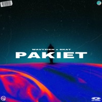 Pakiet (feat. Skat) - Single - Wavyzien