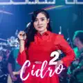 Cidro 2