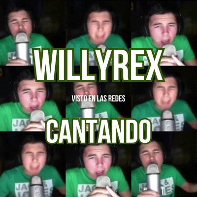 Visto en Las Redes - Call Me Maybe