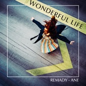 Wonderful Life artwork