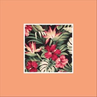 Hawaii - Single - Cosmonkey