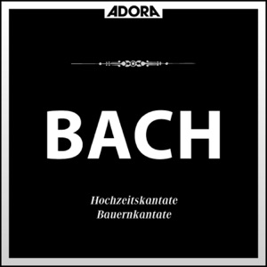 Bauernkantate für Orchester und Stimmen, BWV 212, 