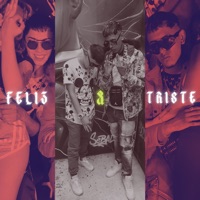 Feliz & Triste - Single - D-ICE EL MORENO & Neyzan