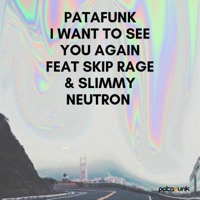 I Want To See You Again (feat. Skip Rage & Slimmy Neutron) - Single - Patafunk