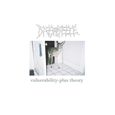 Vulnerability-Plus Theory - EP