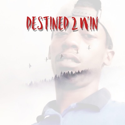 Destined 2 Win - EP