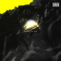 Young To Die - Single - DJ Alan Nunes & Flavio Vitor Jr.