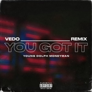 You Got It - Single (Remix)