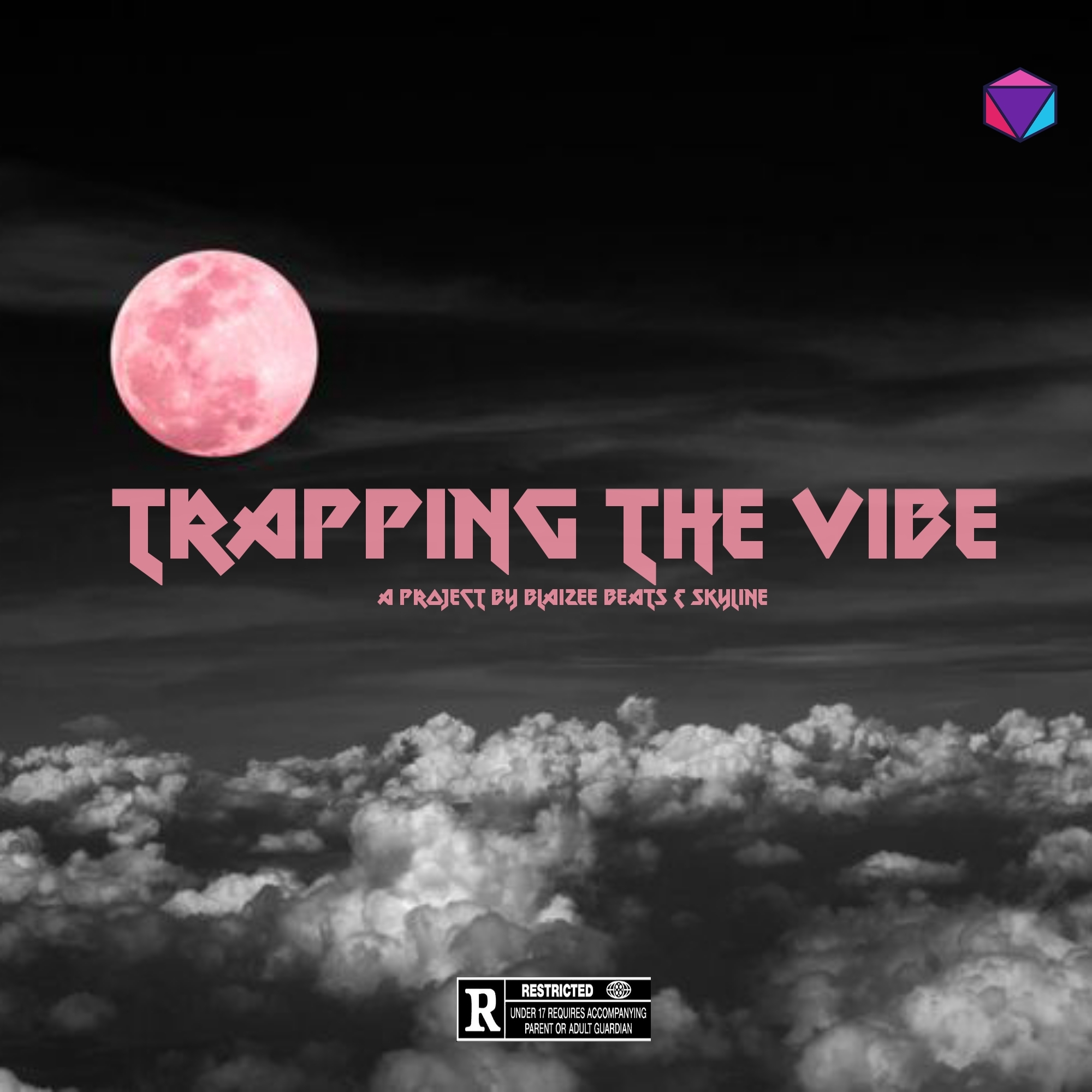 Trapping the Vibe - EP