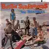 Bustin' Surfboards