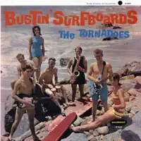 Bustin' Surfboards