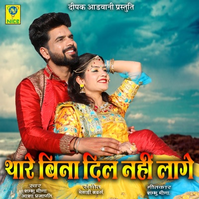 Thare Bina Dil Nahi Lage - Single