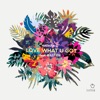 Love What U Got (feat. Bastien) cover art
