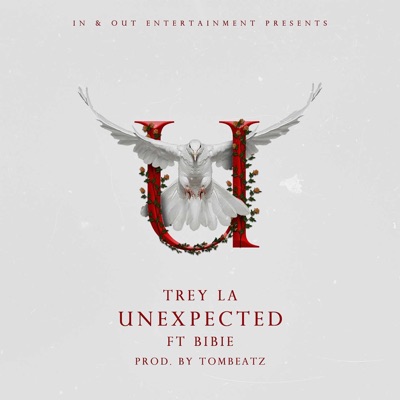 Unexpected (feat. Bibie) - Single