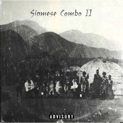 Siamese Combo II - Single