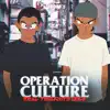 Operation Culture - True Love (feat. Jason J. & for Peace Band)