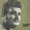 Yıldırım Gürses - Unutulmayan Şarkı
