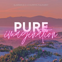 Pure Imagination - Single - Slaiman, E V O & Rhys Tolhurst