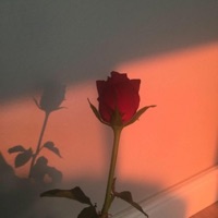 Quantum Pattern - Single - Idstayawaytoo